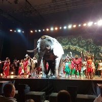 Stadthalle Graz, Грац