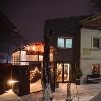 Флигель, Владимир