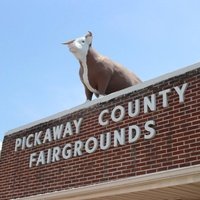 Pickaway County Fairgrounds, Серклвилл, Огайо