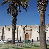 Паукарпата