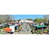 Agrokomplex, Нитра