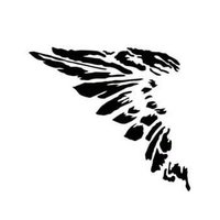 Schwarzer Engel, Санкт-Галлен