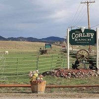 Corley Ranch, Гарднервилл, Невада