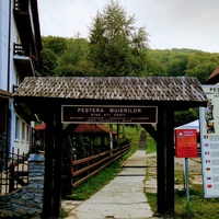 Pestera Muierilor, Бая-де-Фьер