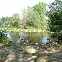 Parc Des Gayeulles, Ренн