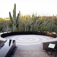 Desert Botanical Garden, Финикс, Аризона