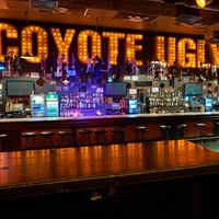 Гадкий Койот, Казань