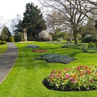 Musgrave Park, Корк
