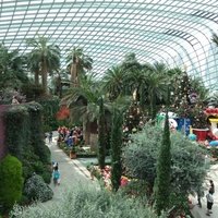 Gardens by the Bay, Сингапур