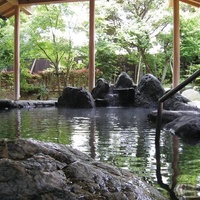 Gorilla House, Сидзуока