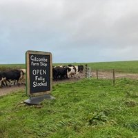 Gilcombe Farm, Брутоне