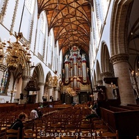 Sint-Bavokerk, Харлем