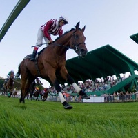 Рок концерты в Hipódromo de San Sebastián, Сан-Себастьян Hipódromo de San Sebastián, Сан-Себастьян