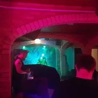 Рок концерты в The Cellar Bar, Стаффорд The Cellar Bar, Стаффорд