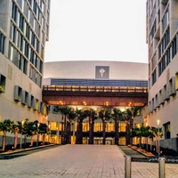 New York University, Абу-Даби