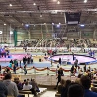 Agricenter ShowPlace Arena, Мемфис, Теннесси