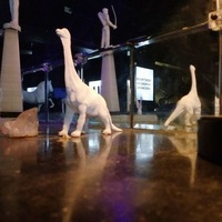 Caferoma Club, Агуаскальентес