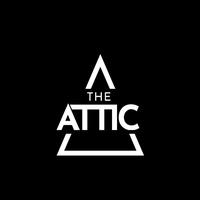 The Attic, Суонси