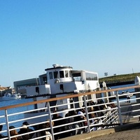 Vessel Bay Celebrations, Окленд, Калифорния