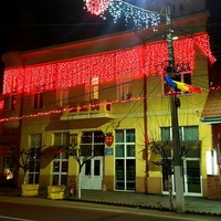 Primăria Oraşului Seini, Заини