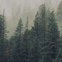 Evergreen Christian Community, Олимпия, Вашингтон