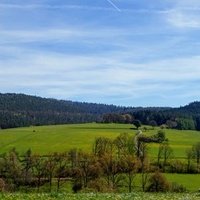 Берфельден