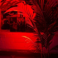 440 Venue, Лестер