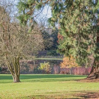 Weston Park, Шифнал