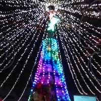 David S. Palmer Arena, Данвилл, Иллинойс