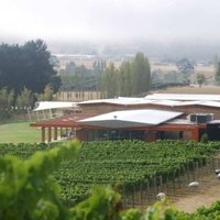 Home Hill Winery, Ранела