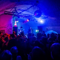 Venster 99, Вена