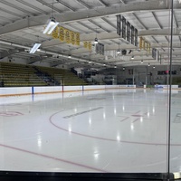 Centennial Arena, Нипавин