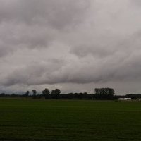 Уиллард, Огайо