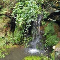 Sefton Park, Ливерпуль