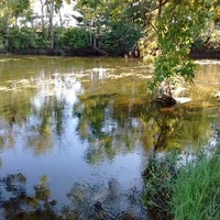 Уорсо, Индиана