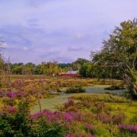 Север Ридинг, Массачусетс