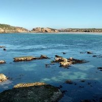 Уоррнамбул