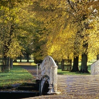 National Trust - Morden Hall Park, Лондон