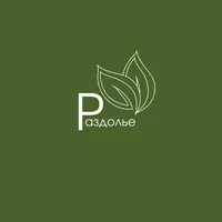 Рок концерты в База отдыха Раздолье, Пермь База отдыха Раздолье, Пермь