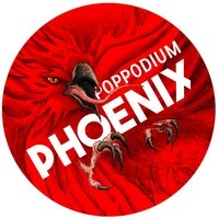 Poppodium Phoenix, Бреда