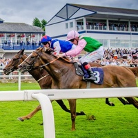 Рок концерты в Royal Windsor Racecourse, Виндзор Royal Windsor Racecourse, Виндзор
