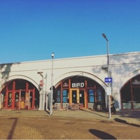 BIRD, Роттердам