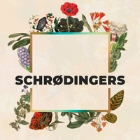 Schrødingers, Гамбург
