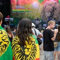 Rototom Sunsplash, Беникасим
