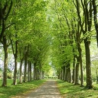 Parc des Cultures de Saint-Jacques, Лаваль, Квебек