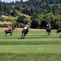 Portland Polo Fields, Запад Линн, Орегон
