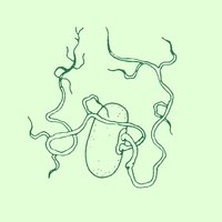 Yours, Данидин