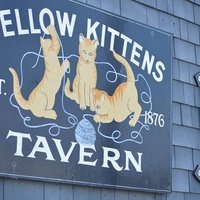 The Yellow Kittens, Нью Шорхэм, Род-Айленд
