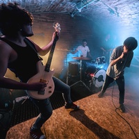 ЧУБАККА КРЮ