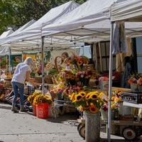 Boulder Farmers Market, Боулдер, Колорадо